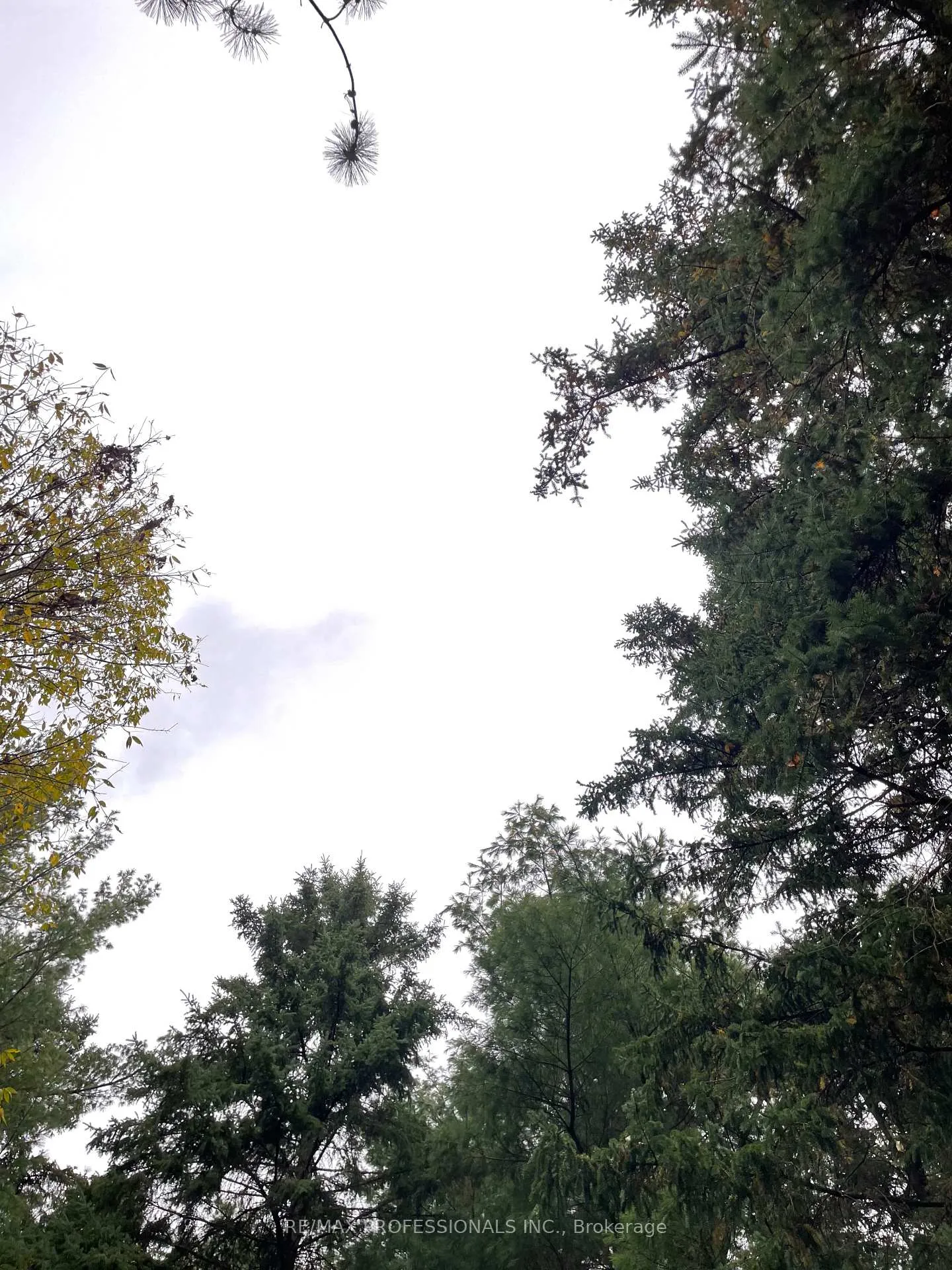 Photo 24 of 14070 Dublin Line, Halton Hills, Rural Halton Hills — HOMEH
