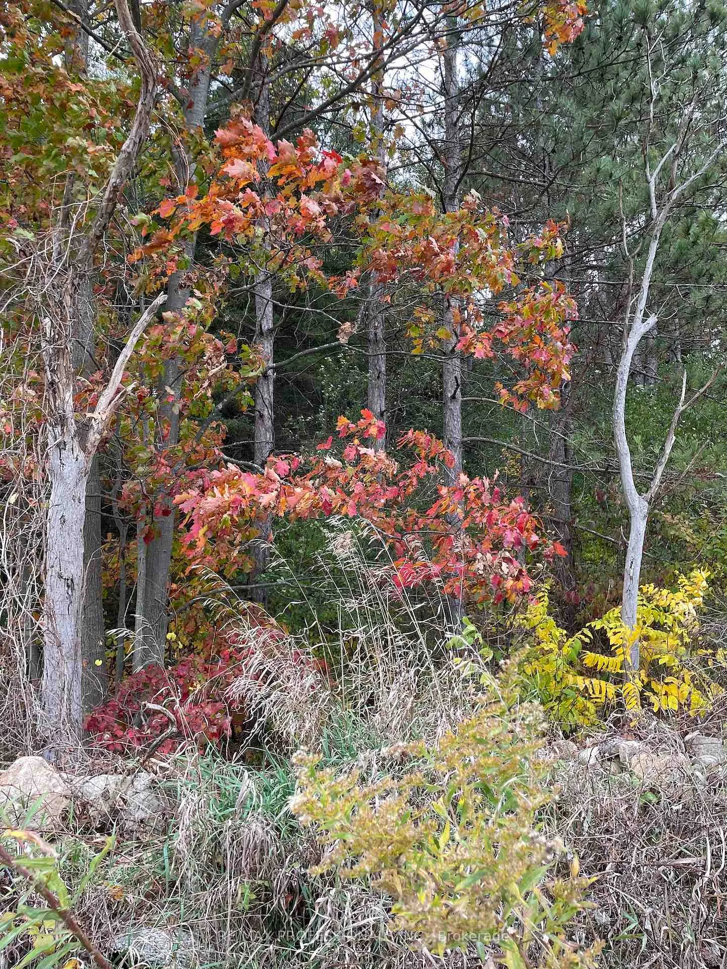 Photo 26 of 14070 Dublin Line, Halton Hills, Rural Halton Hills — HOMEH