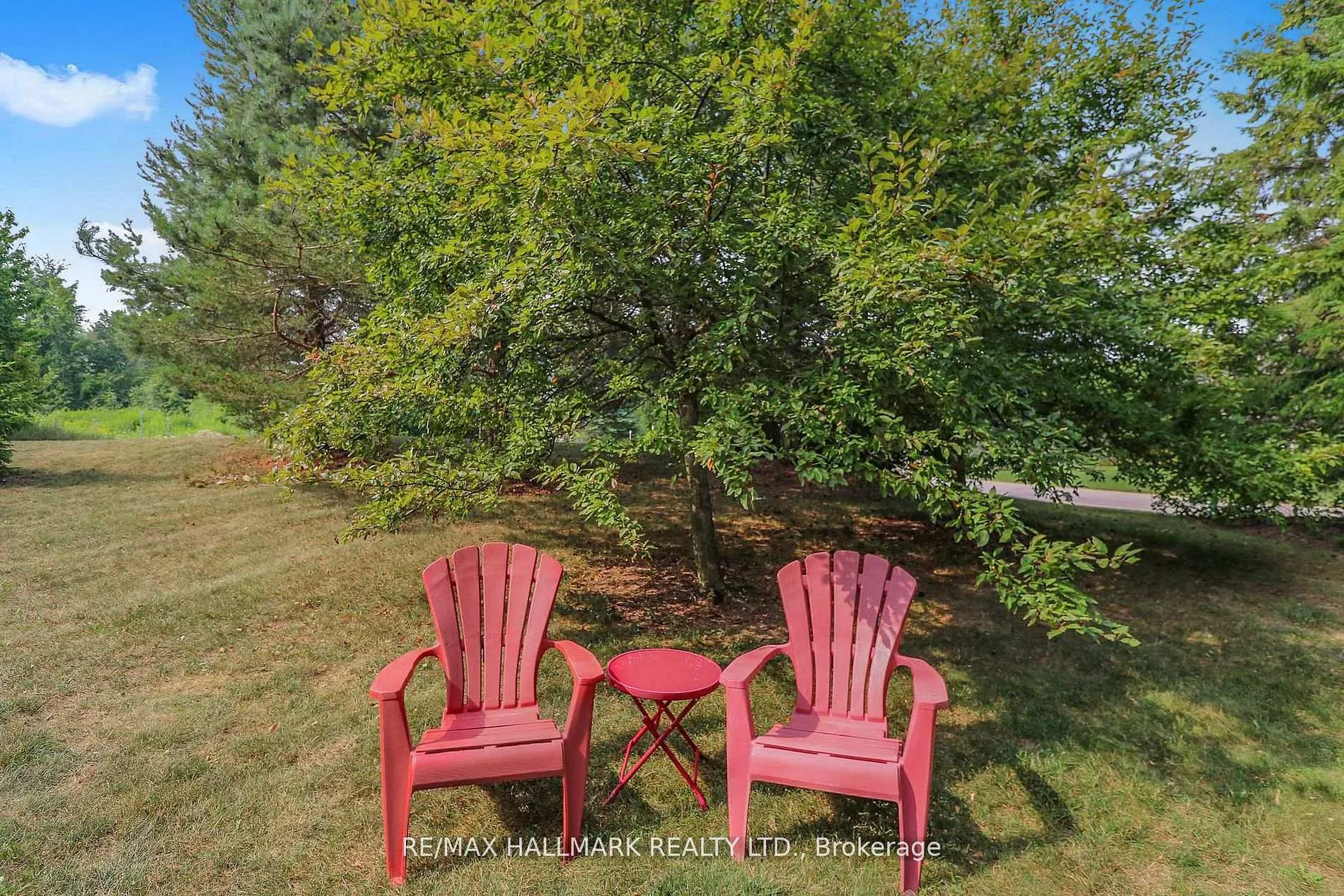 Photo 14 of Unit 101, 184 Snowbridge Way, Blue Mountains — HOMEH
