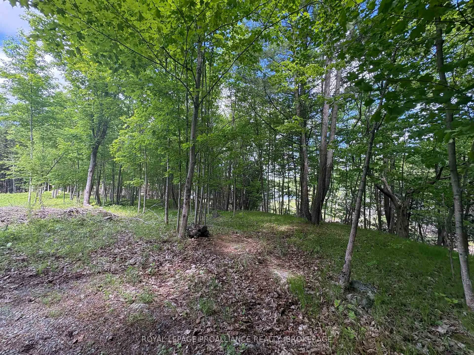 Photo 5 of PT LT 7 Silver Rock Lane, Frontenac, Frontenac South — HOMEH