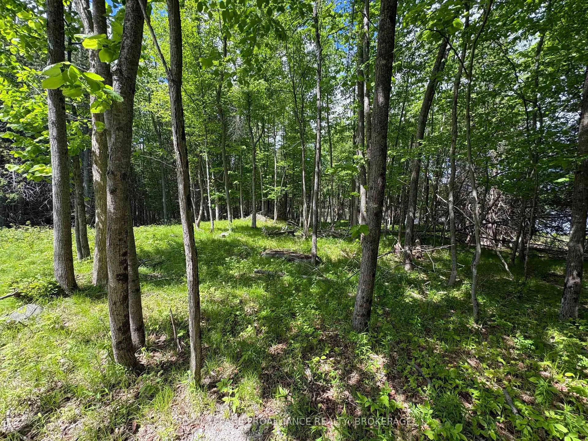 Photo 9 of PT LT 7 Silver Rock Lane, Frontenac, Frontenac South — HOMEH