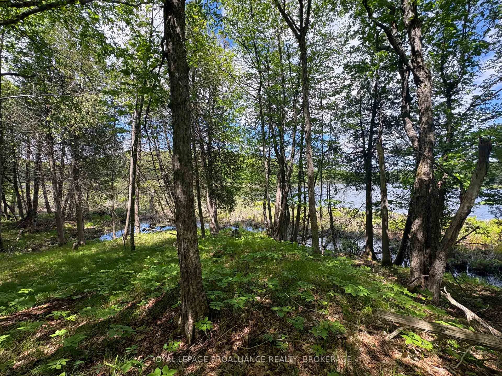Photo 10 of PT LT 7 Silver Rock Lane, Frontenac, Frontenac South — HOMEH