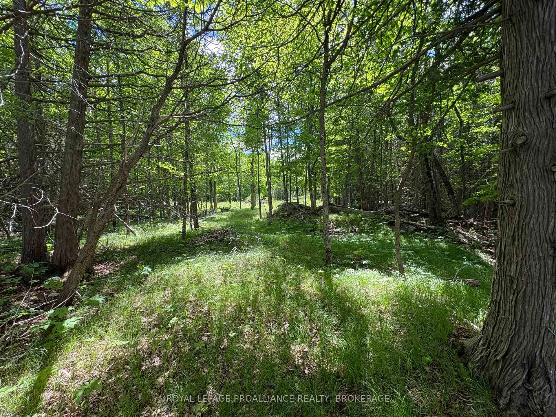 Photo 11 of PT LT 7 Silver Rock Lane, Frontenac, Frontenac South — HOMEH