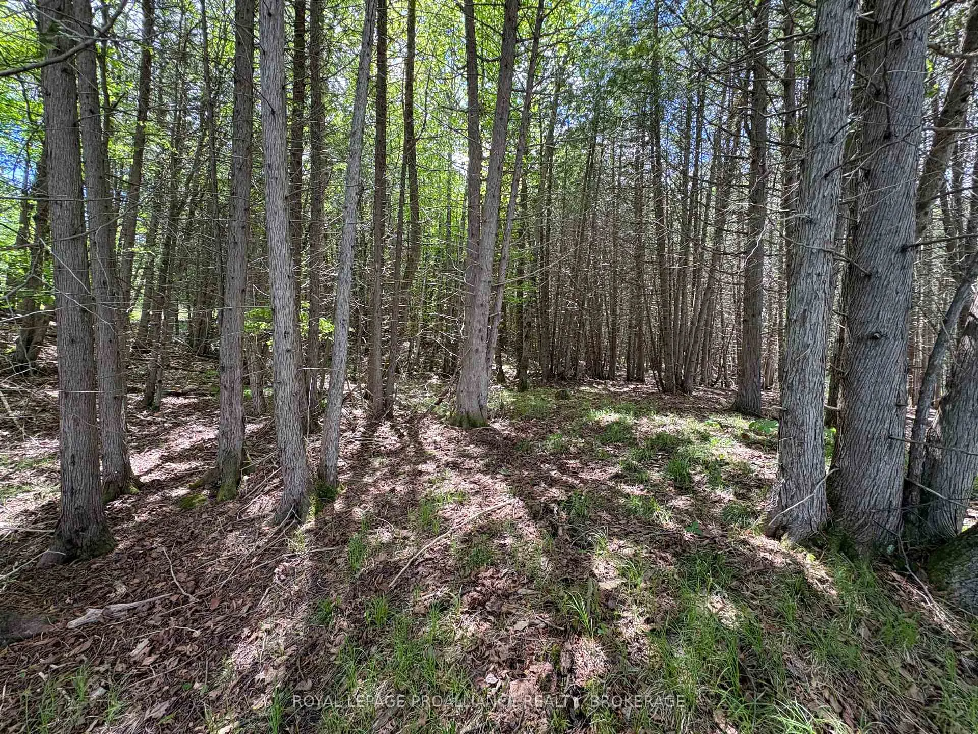 Photo 12 of PT LT 7 Silver Rock Lane, Frontenac, Frontenac South — HOMEH