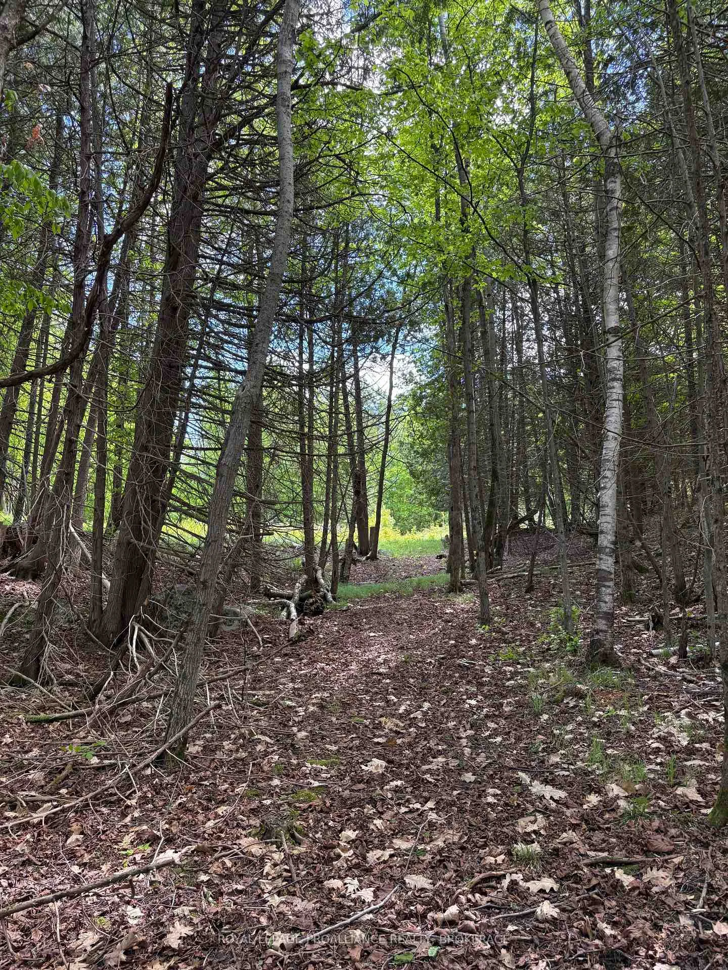 Photo 17 of PT LT 7 Silver Rock Lane, Frontenac, Frontenac South — HOMEH
