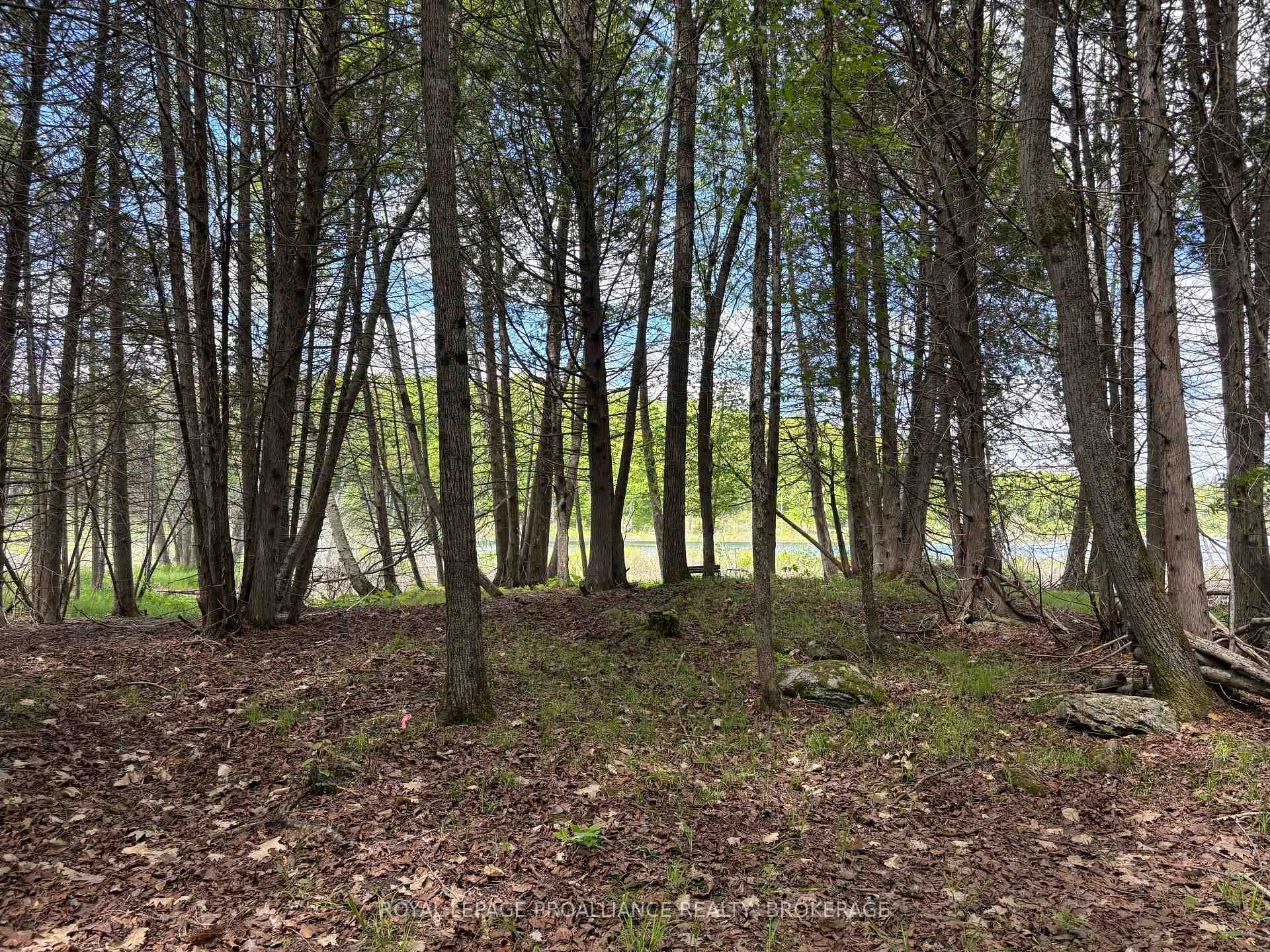 Photo 18 of PT LT 7 Silver Rock Lane, Frontenac, Frontenac South — HOMEH