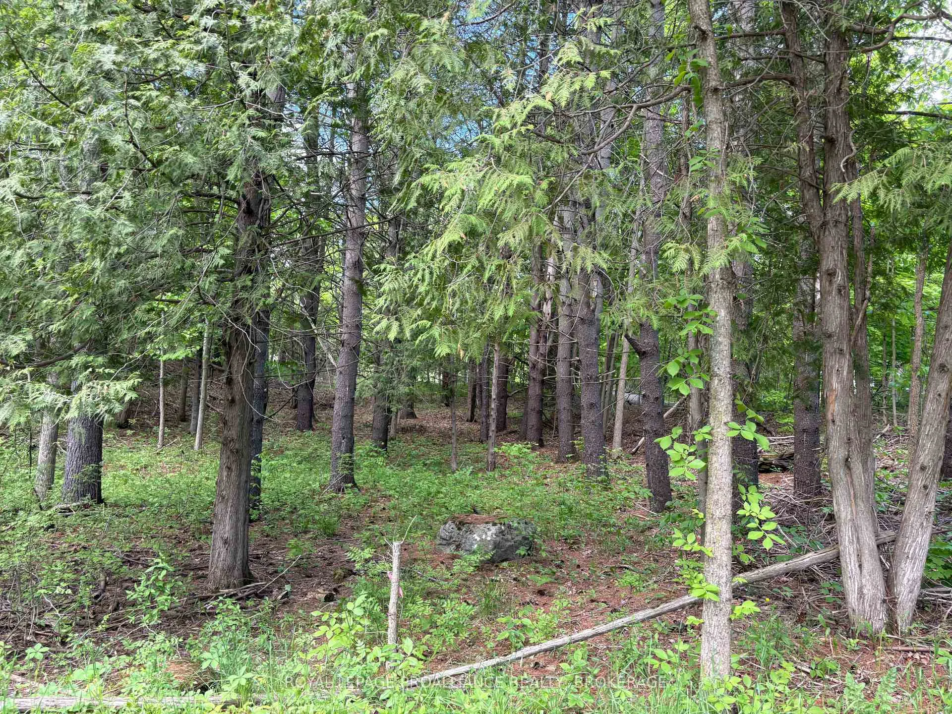 Photo 21 of PT LT 7 Silver Rock Lane, Frontenac, Frontenac South — HOMEH