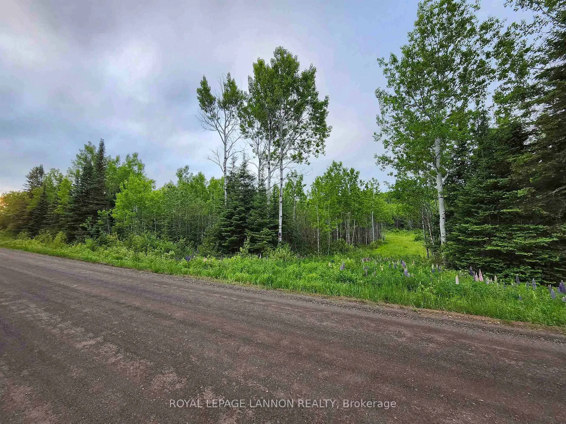 Photo 7 of 466 Union School Road S, Neebing, Pearson — HOMEH