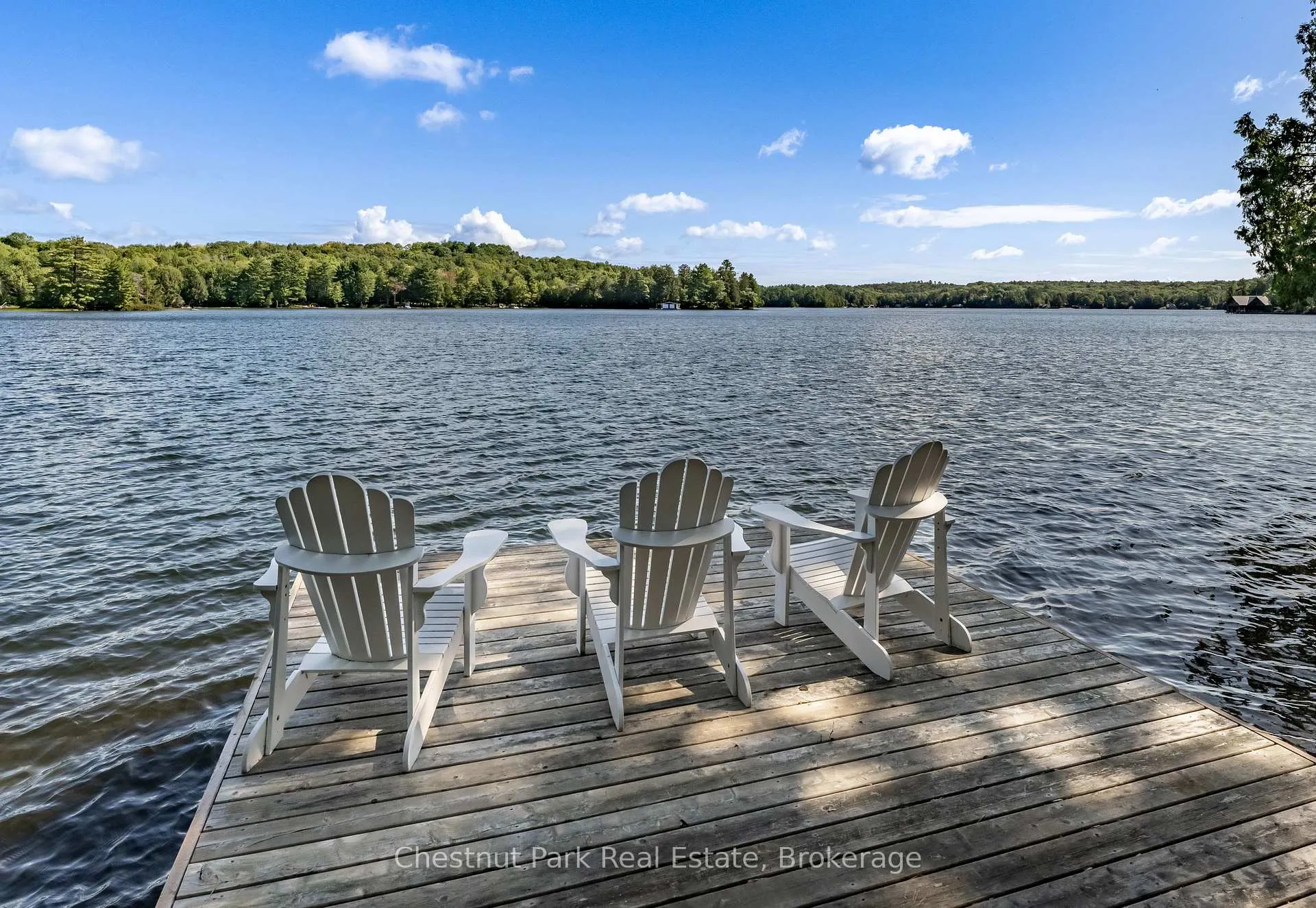 Photo 2 of 16 Fern Road, Seguin — HOMEH