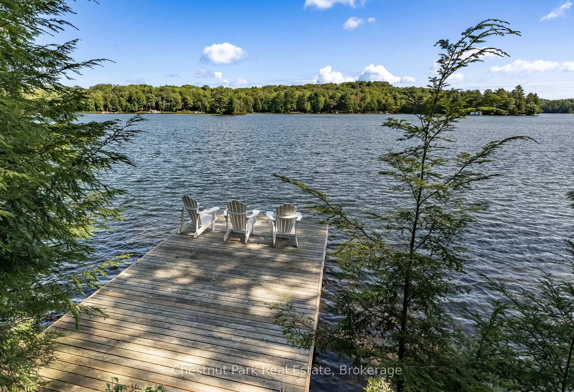 Photo 34 of 16 Fern Road, Seguin — HOMEH