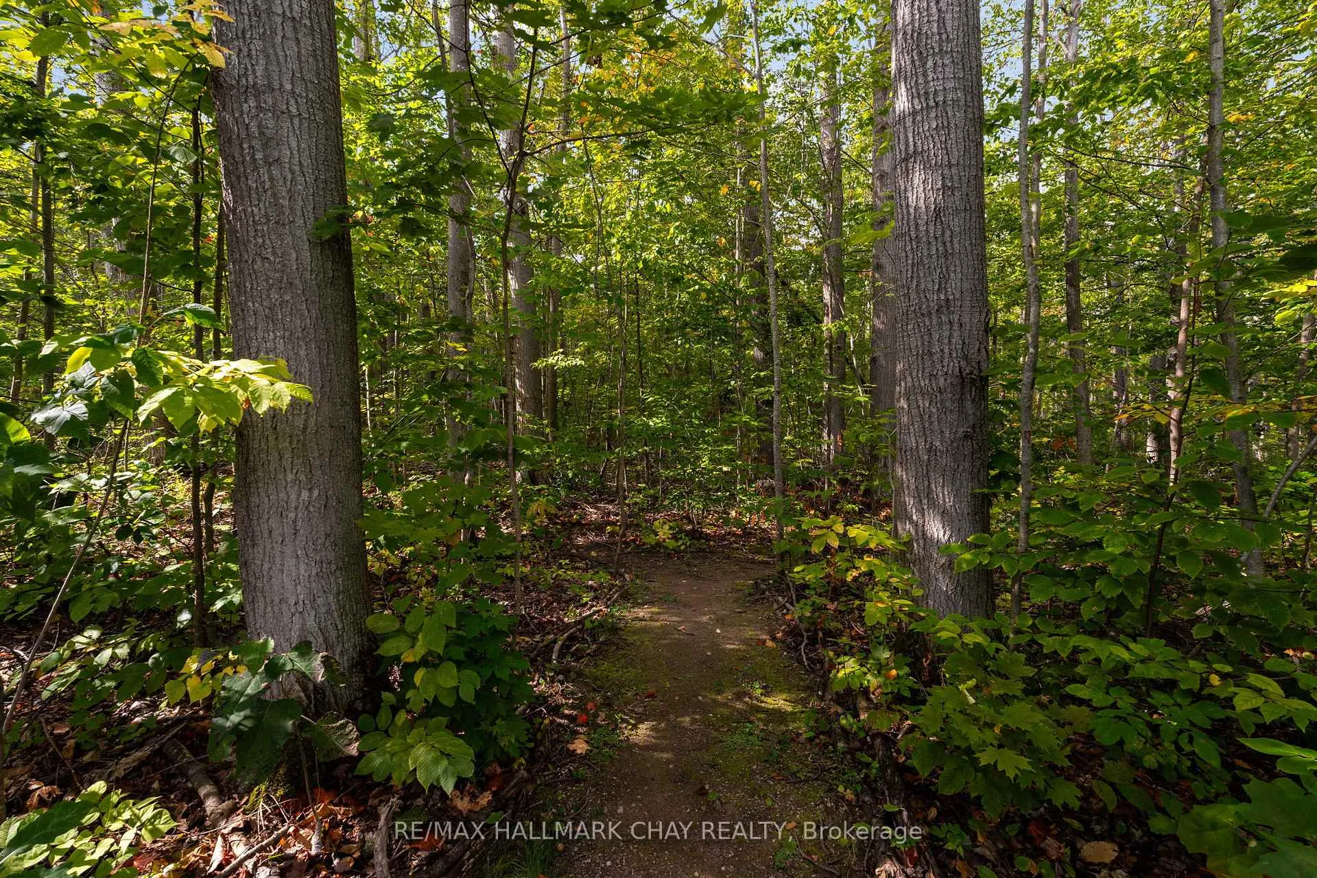 Photo 42 of 8 Byers Street, Springwater, Snow Valley — HOMEH