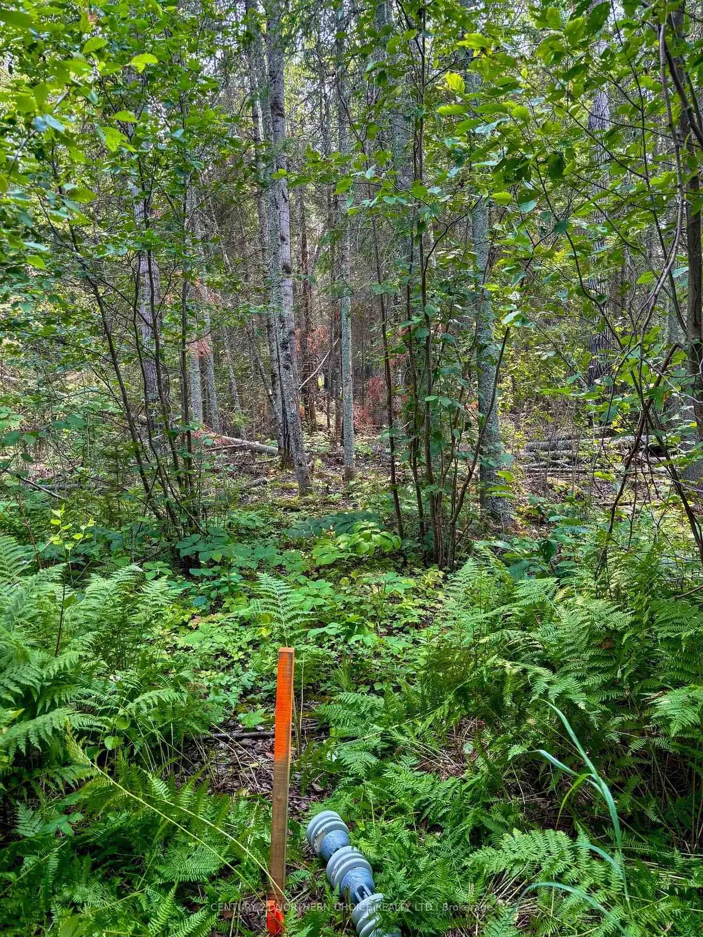 Photo 17 of Unit 1, 1 Thompson, Kenora Remote Area, Lake of the Woods North — HOMEH