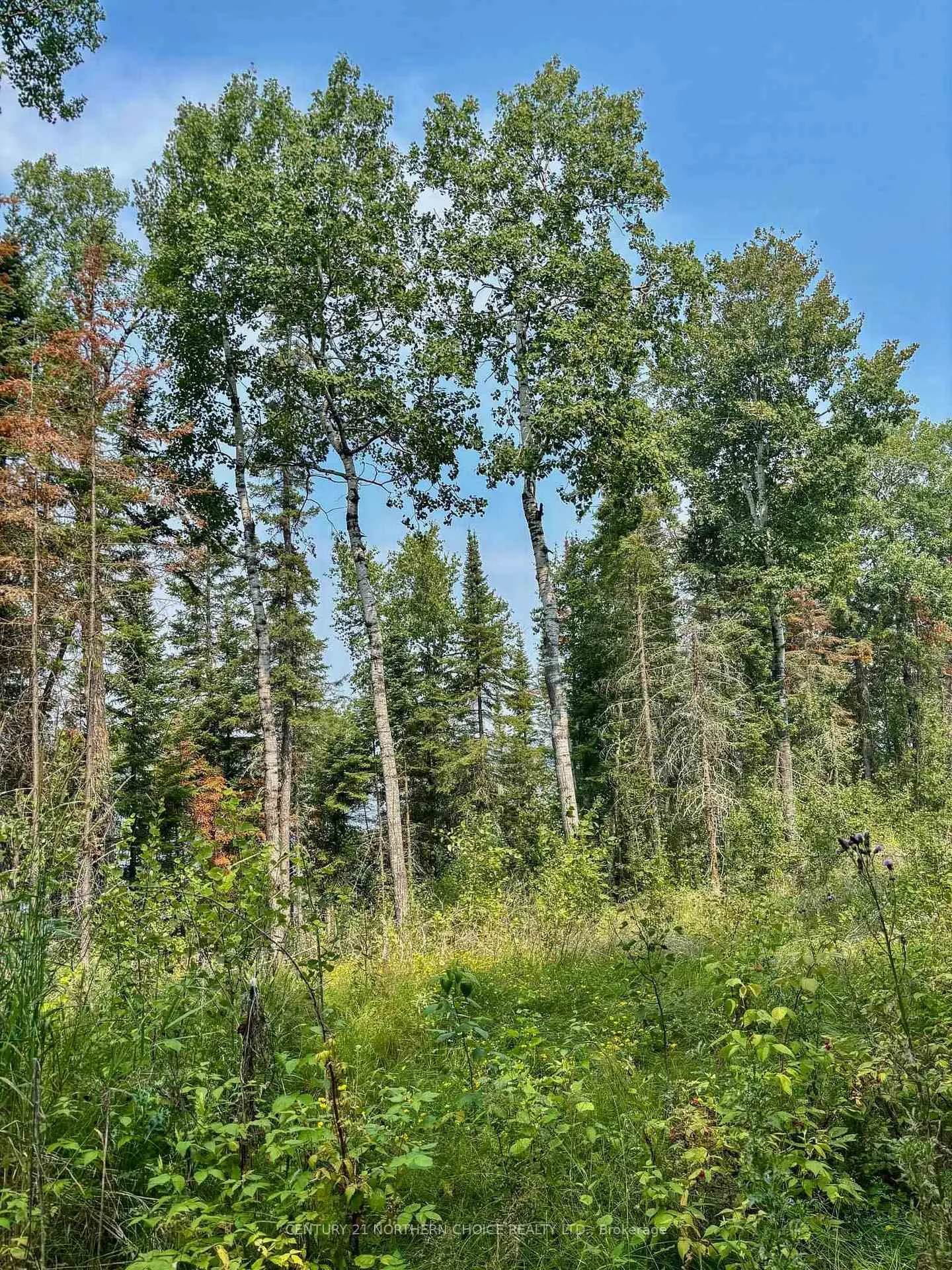 Photo 18 of Unit 1, 1 Thompson, Kenora Remote Area, Lake of the Woods North — HOMEH