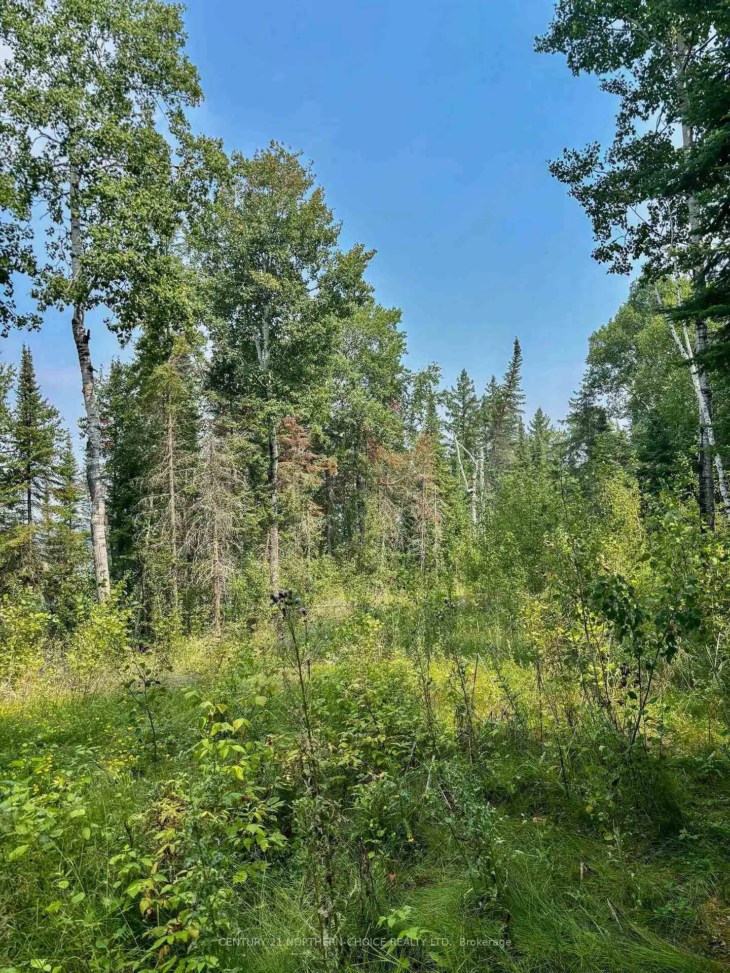 Photo 19 of Unit 1, 1 Thompson, Kenora Remote Area, Lake of the Woods North — HOMEH