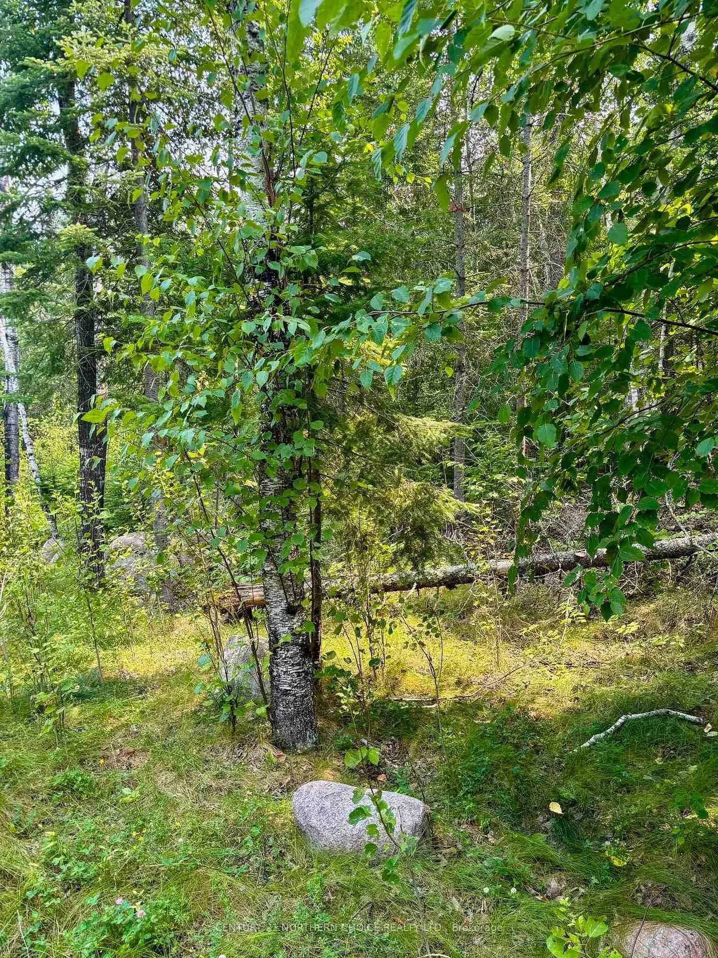 Photo 21 of Unit 1, 1 Thompson, Kenora Remote Area, Lake of the Woods North — HOMEH
