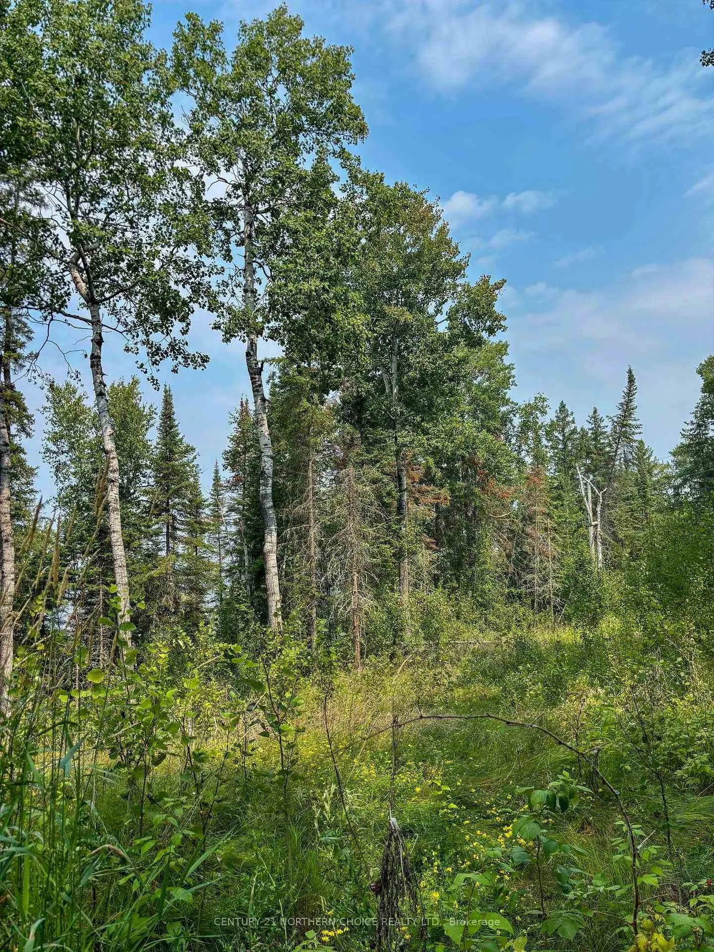 Photo 27 of Unit 1, 1 Thompson, Kenora Remote Area, Lake of the Woods North — HOMEH