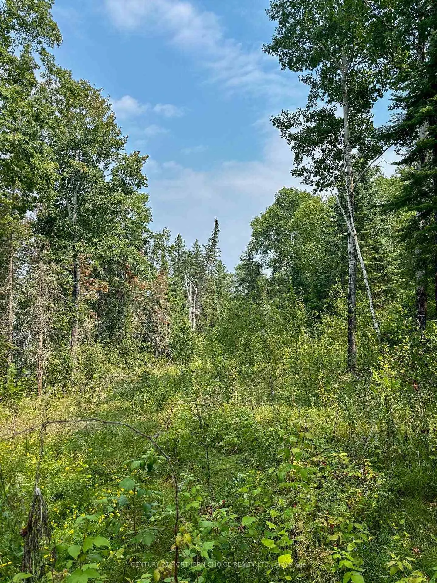 Photo 28 of Unit 1, 1 Thompson, Kenora Remote Area, Lake of the Woods North — HOMEH