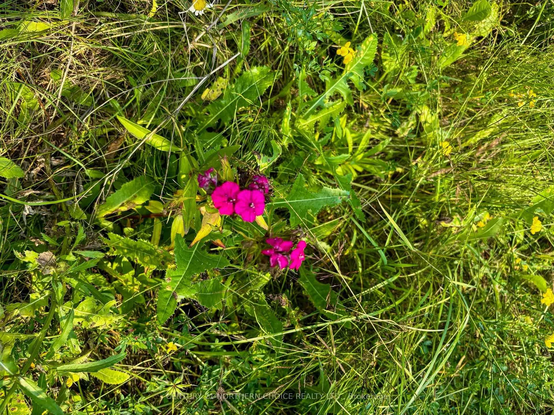 Photo 31 of Unit 1, 1 Thompson, Kenora Remote Area, Lake of the Woods North — HOMEH