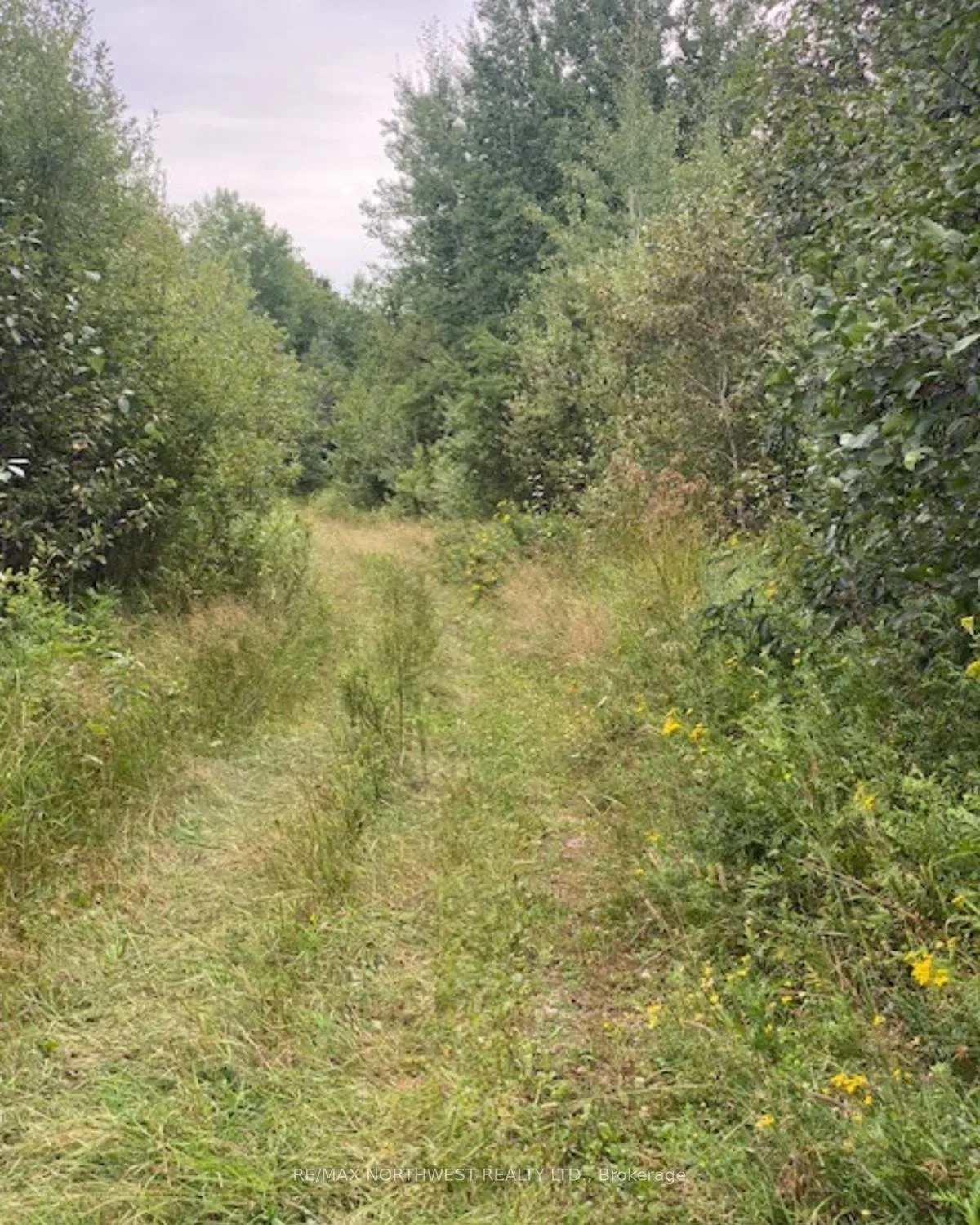Photo 8 of Gaye Street, Kenora, Airport Road North — HOMEH