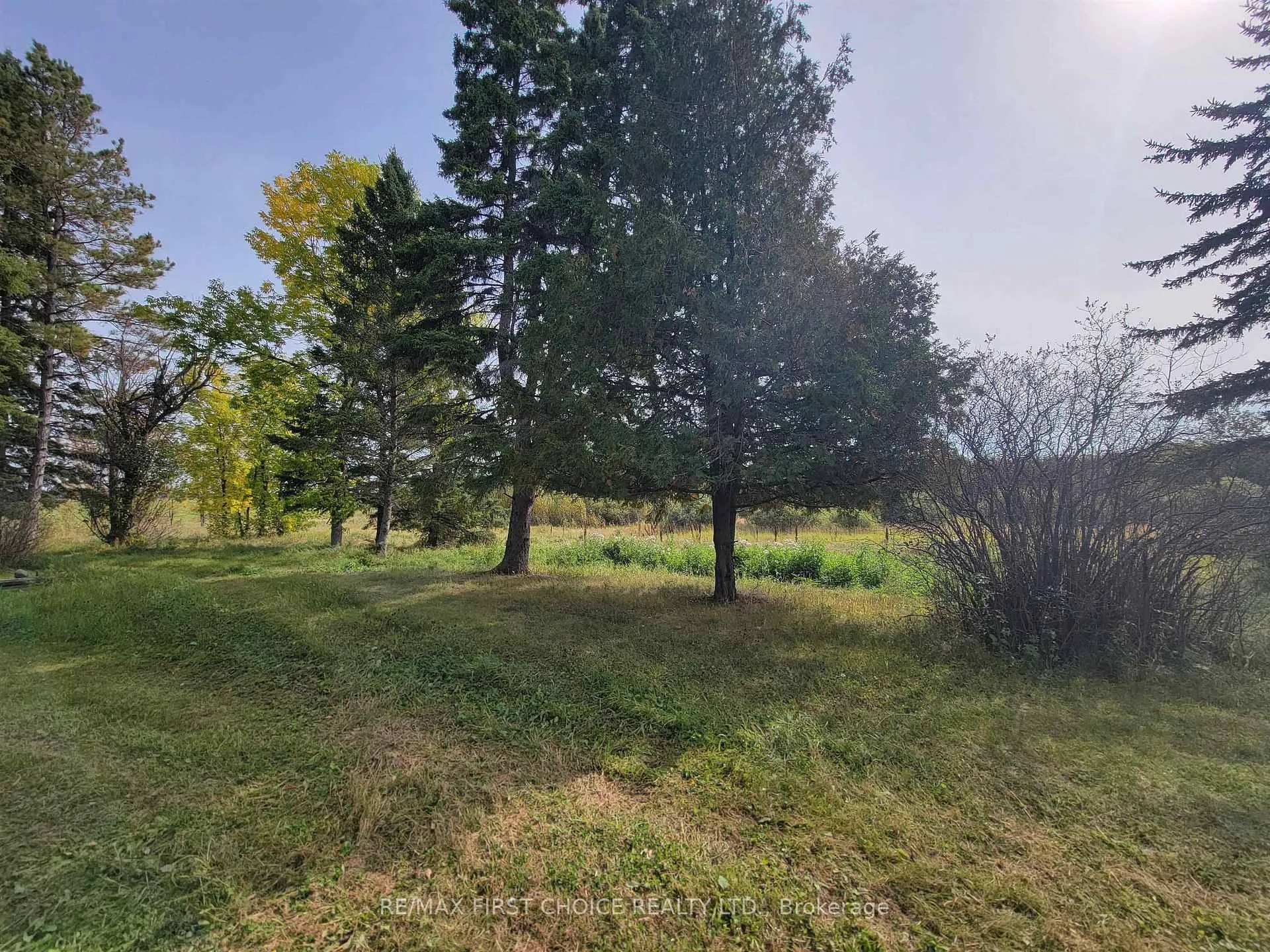 Photo 14 of 37 Jewett Rd, Morley — HOMEH
