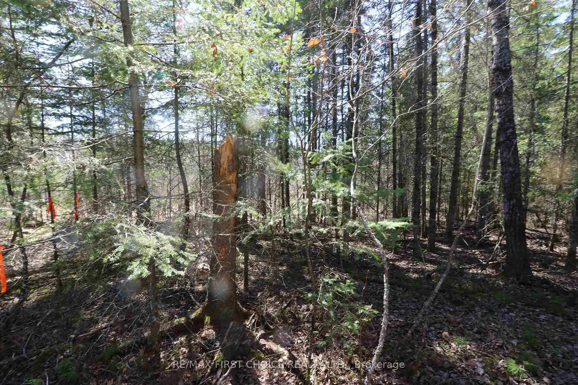 Photo 9 of Lot 151 Plan M222, Kenora Remote Area, Minaki-Winnepeg River — HOMEH