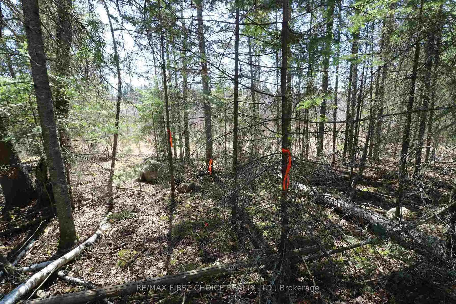 Photo 11 of Lot 151 Plan M222, Kenora Remote Area, Minaki-Winnepeg River — HOMEH