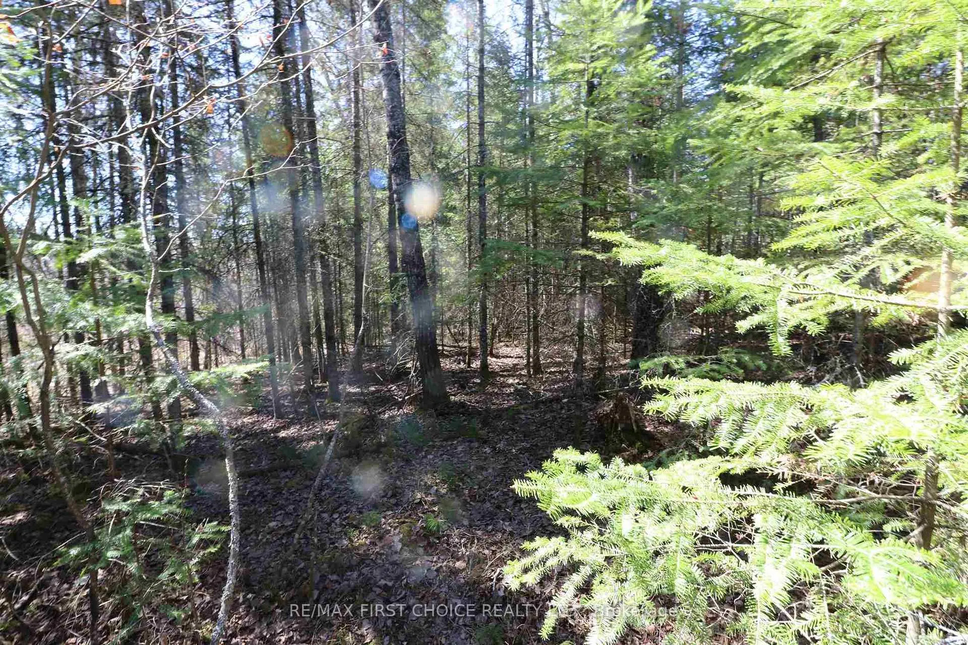 Photo 12 of Lot 151 Plan M222, Kenora Remote Area, Minaki-Winnepeg River — HOMEH