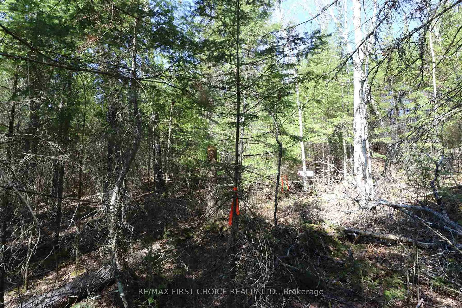 Photo 13 of Lot 151 Plan M222, Kenora Remote Area, Minaki-Winnepeg River — HOMEH