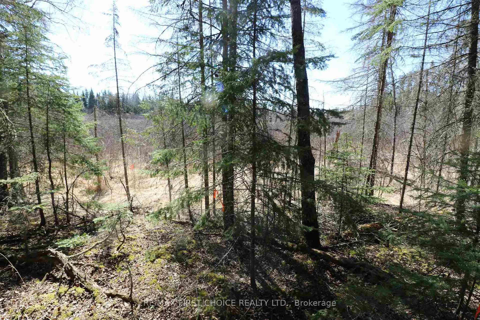 Photo 14 of Lot 151 Plan M222, Kenora Remote Area, Minaki-Winnepeg River — HOMEH