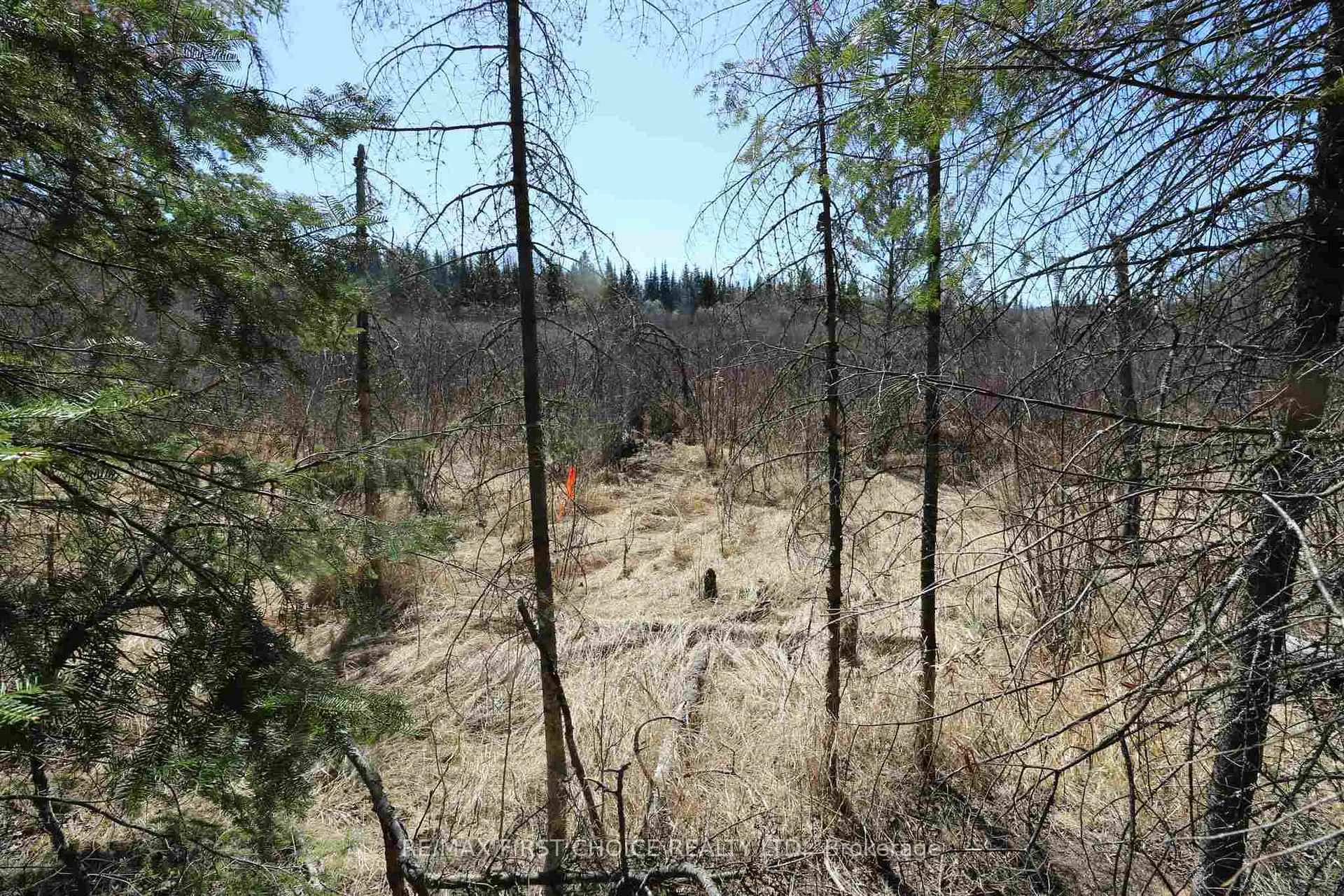 Photo 15 of Lot 151 Plan M222, Kenora Remote Area, Minaki-Winnepeg River — HOMEH