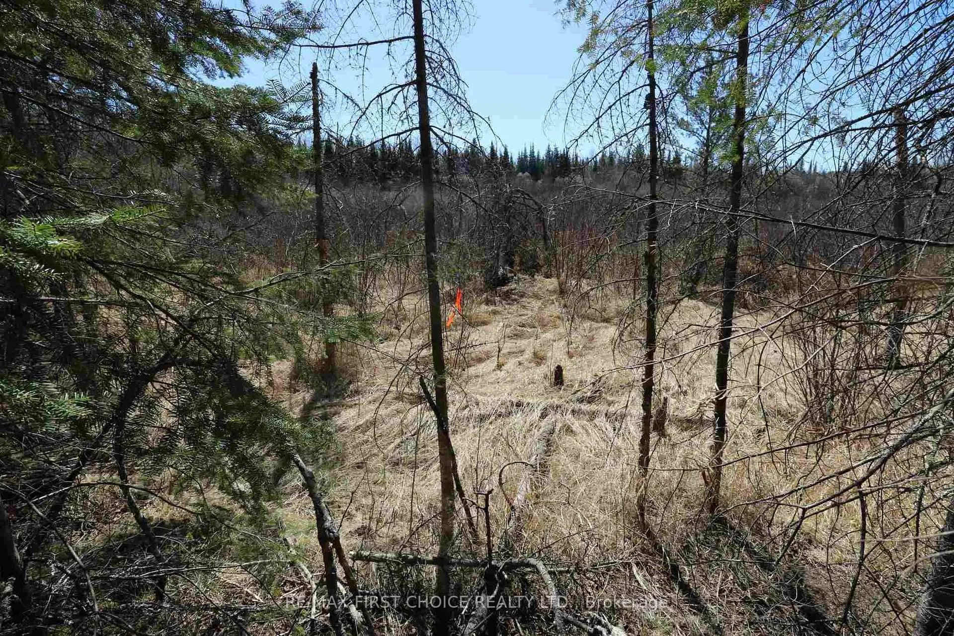Photo 16 of Lot 151 Plan M222, Kenora Remote Area, Minaki-Winnepeg River — HOMEH