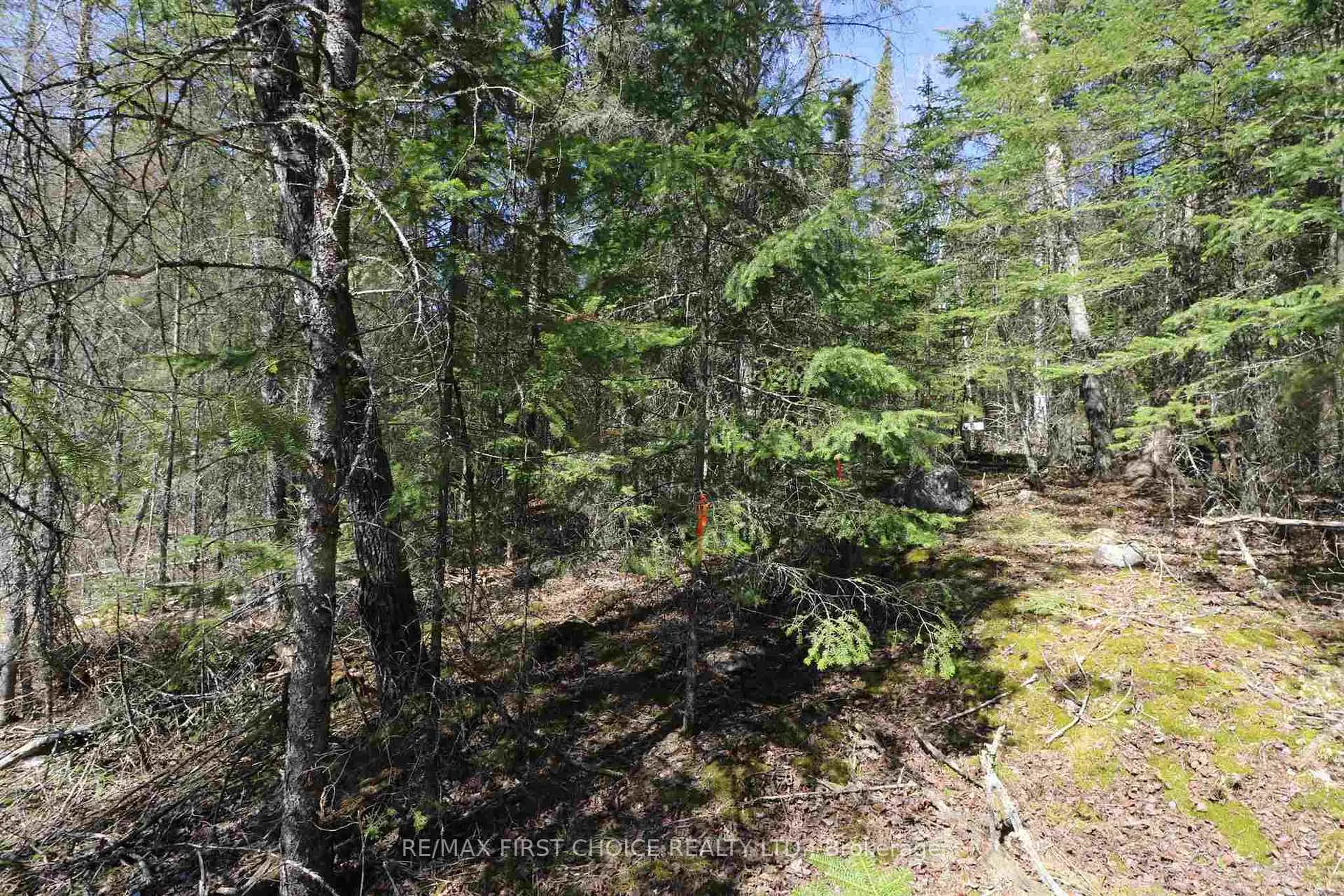 Photo 17 of Lot 151 Plan M222, Kenora Remote Area, Minaki-Winnepeg River — HOMEH