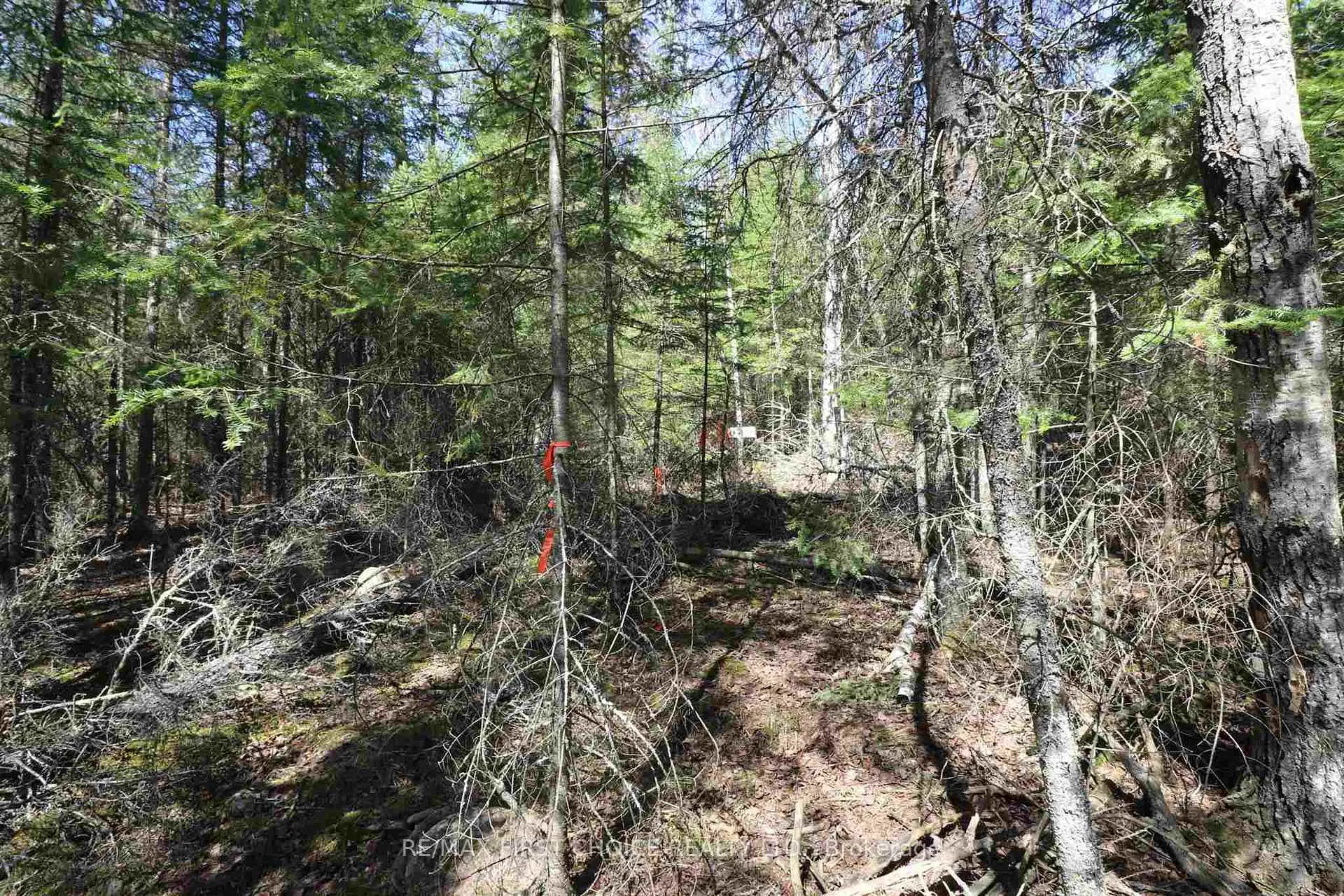 Photo 19 of Lot 151 Plan M222, Kenora Remote Area, Minaki-Winnepeg River — HOMEH