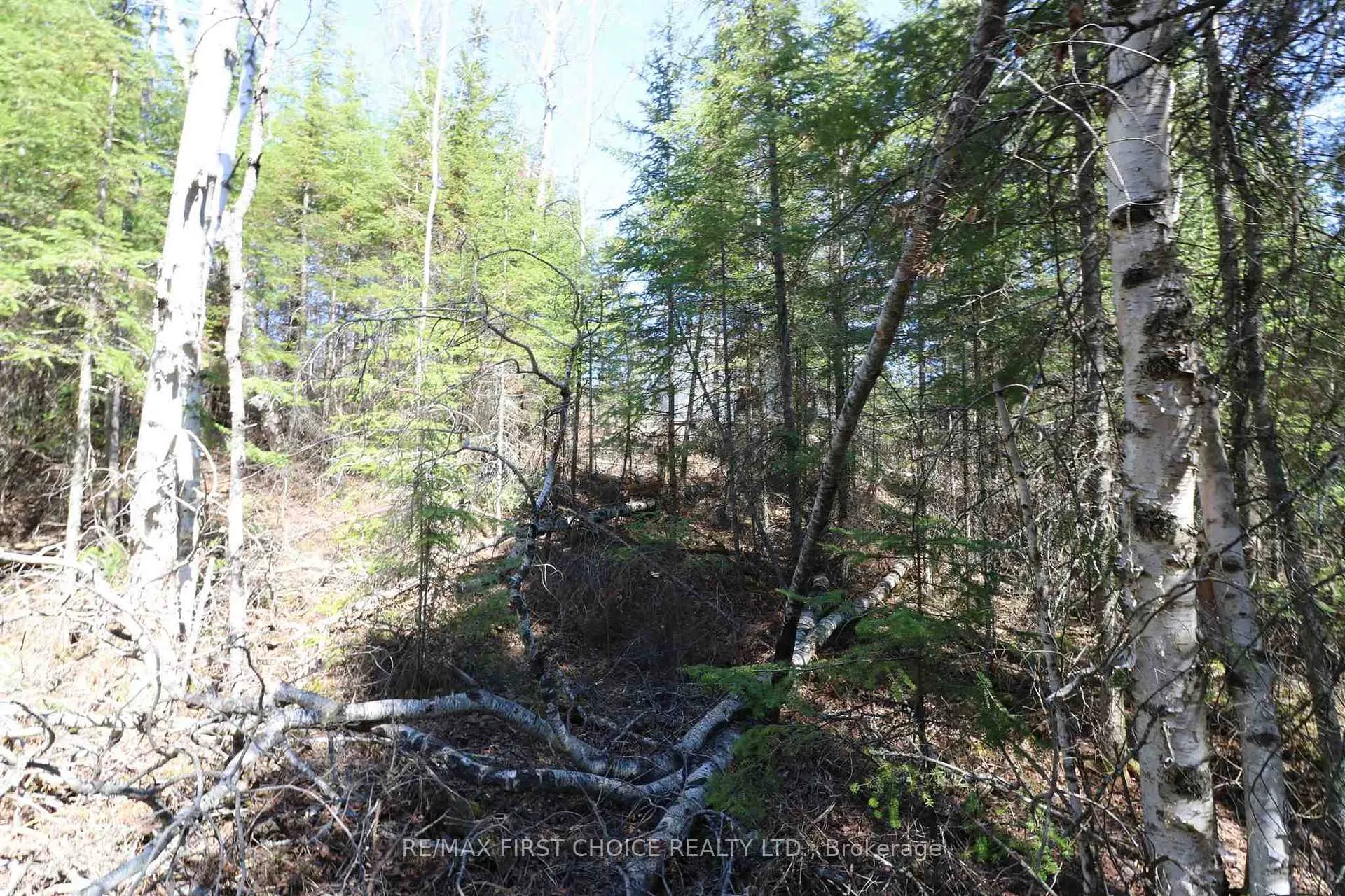 Photo 21 of Lot 151 Plan M222, Kenora Remote Area, Minaki-Winnepeg River — HOMEH