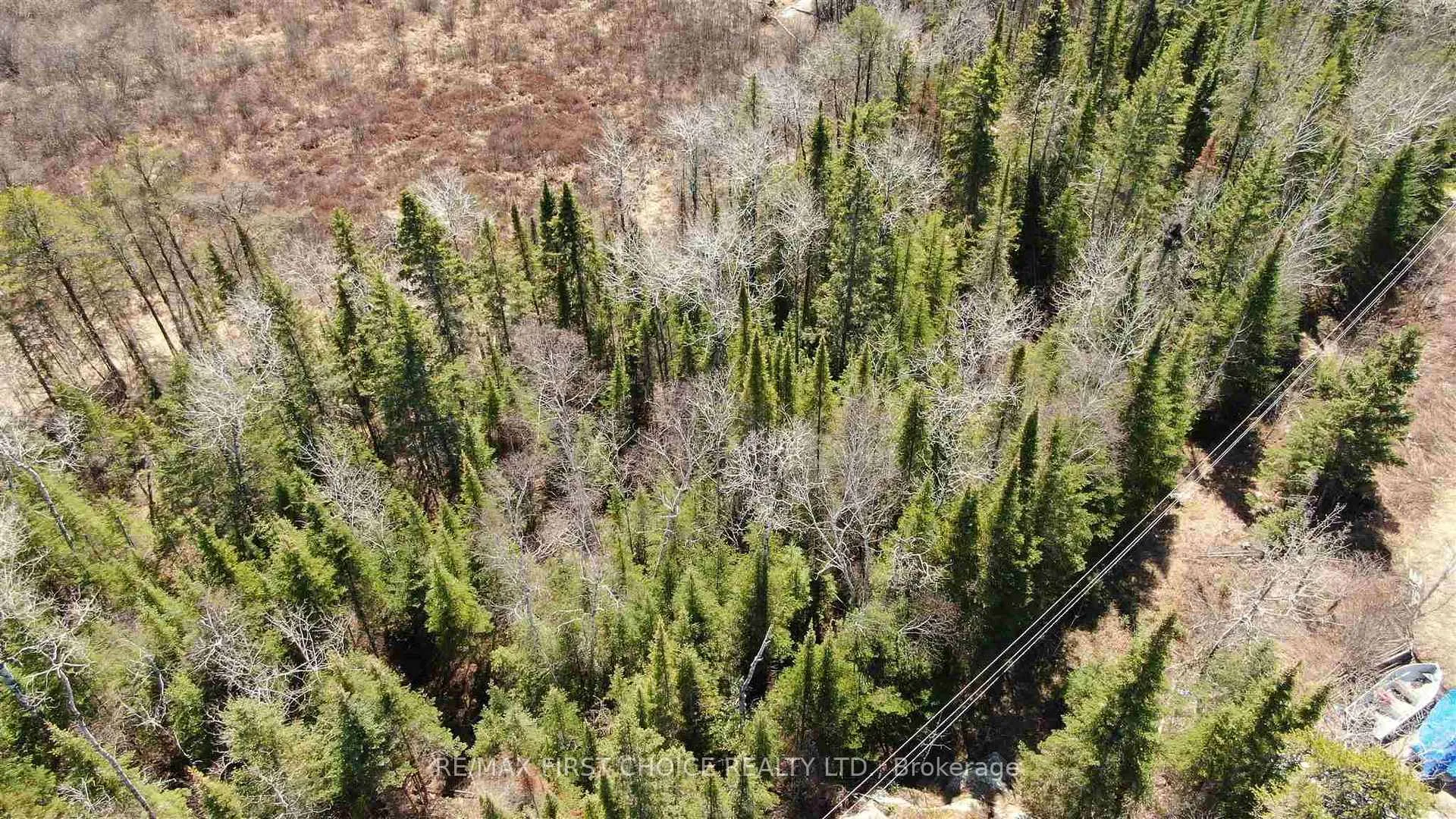 Photo 26 of Lot 151 Plan M222, Kenora Remote Area, Minaki-Winnepeg River — HOMEH