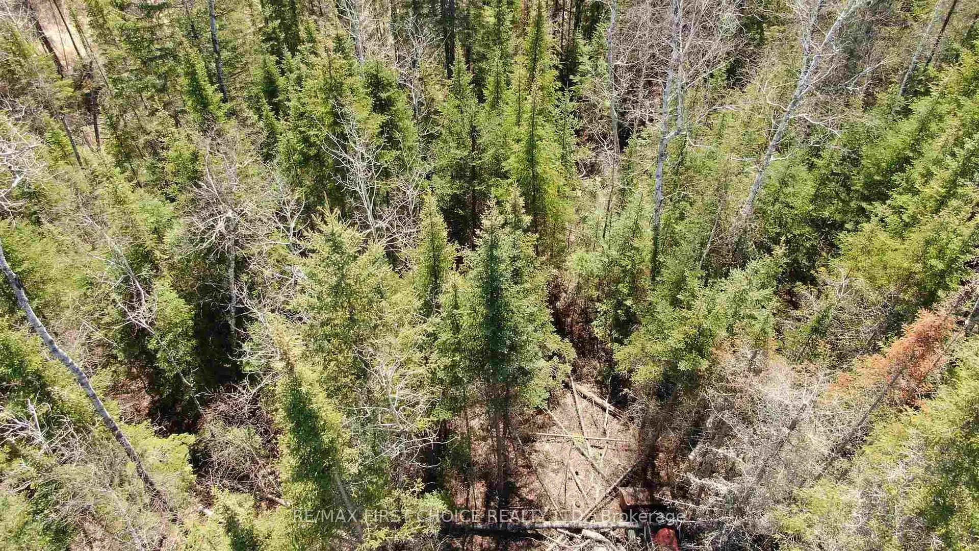 Photo 31 of Lot 151 Plan M222, Kenora Remote Area, Minaki-Winnepeg River — HOMEH