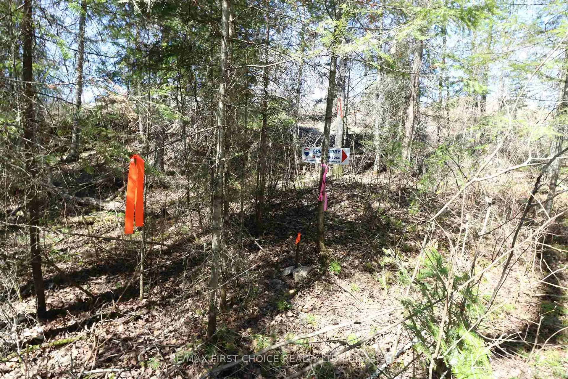 Photo 10 of Lot 152 Plan M222, Kenora Remote Area, Minaki-Winnepeg River — HOMEH