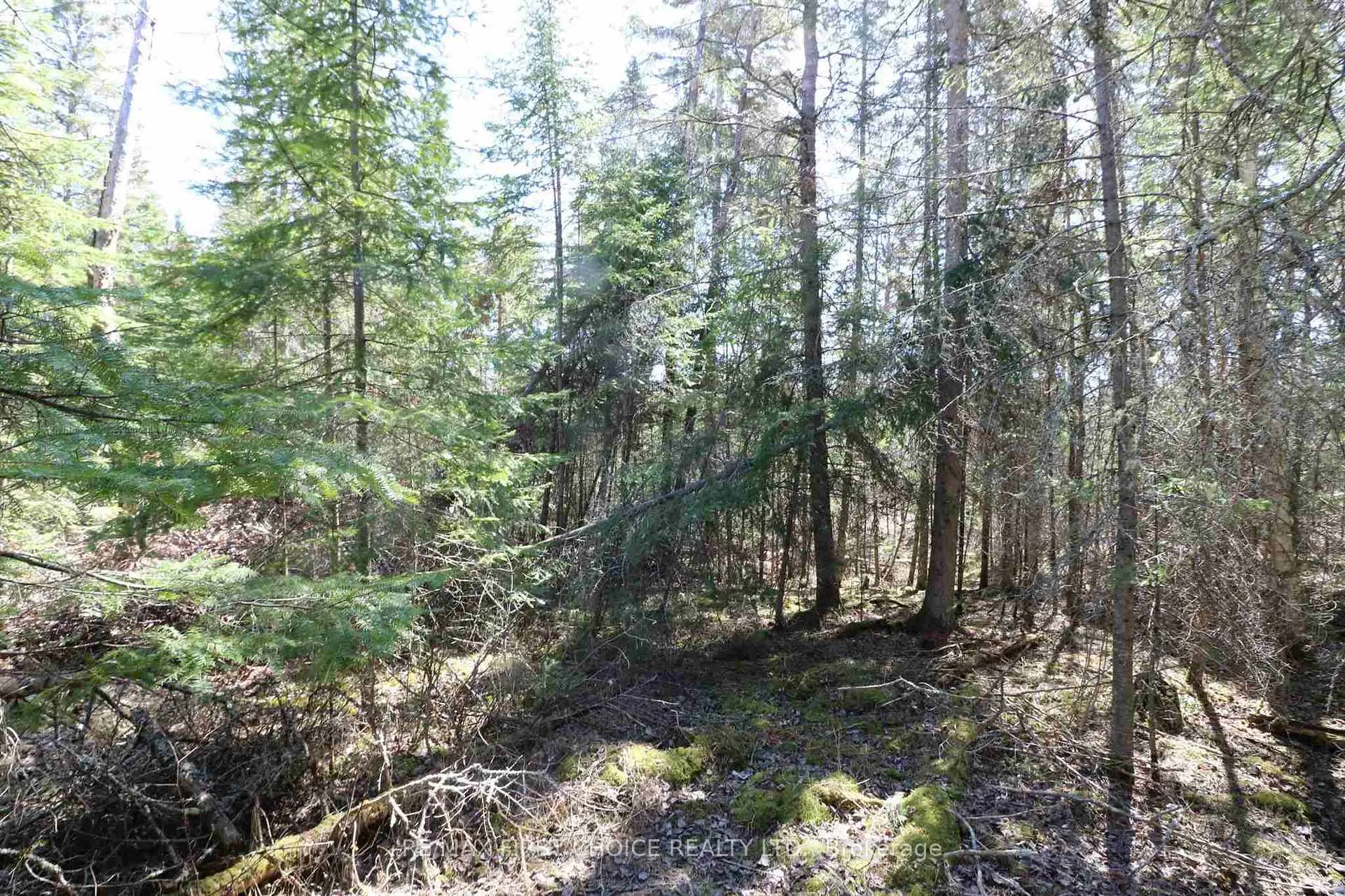 Photo 15 of Lot 152 Plan M222, Kenora Remote Area, Minaki-Winnepeg River — HOMEH