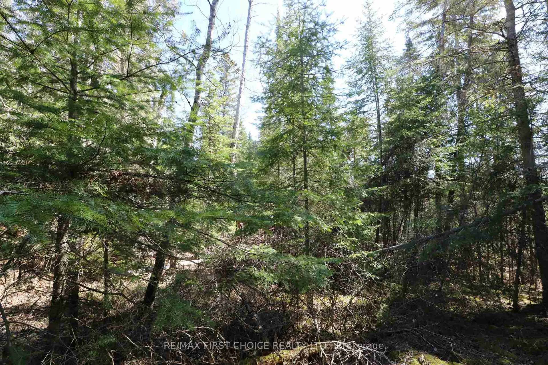 Photo 16 of Lot 152 Plan M222, Kenora Remote Area, Minaki-Winnepeg River — HOMEH