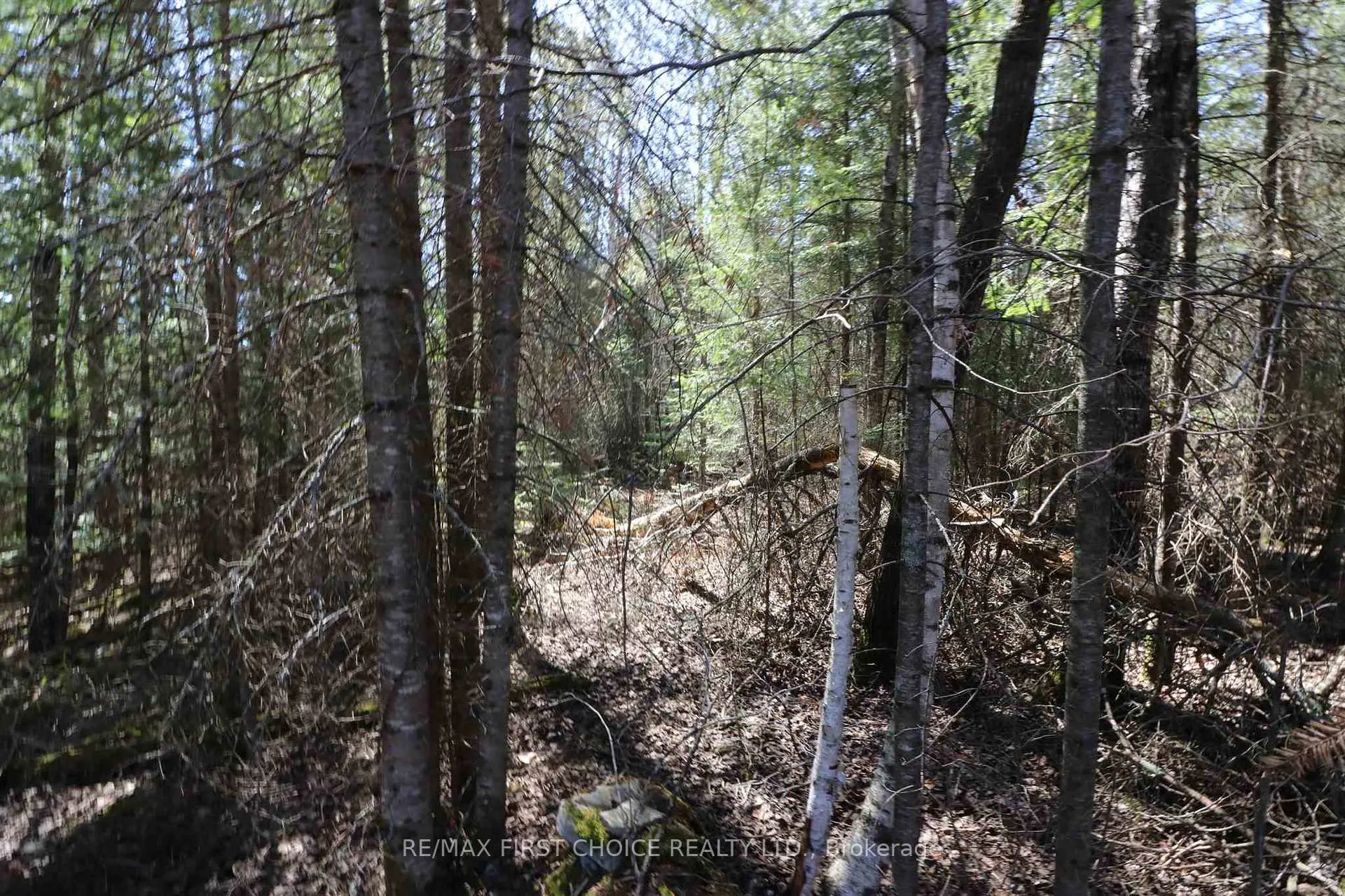 Photo 19 of Lot 152 Plan M222, Kenora Remote Area, Minaki-Winnepeg River — HOMEH