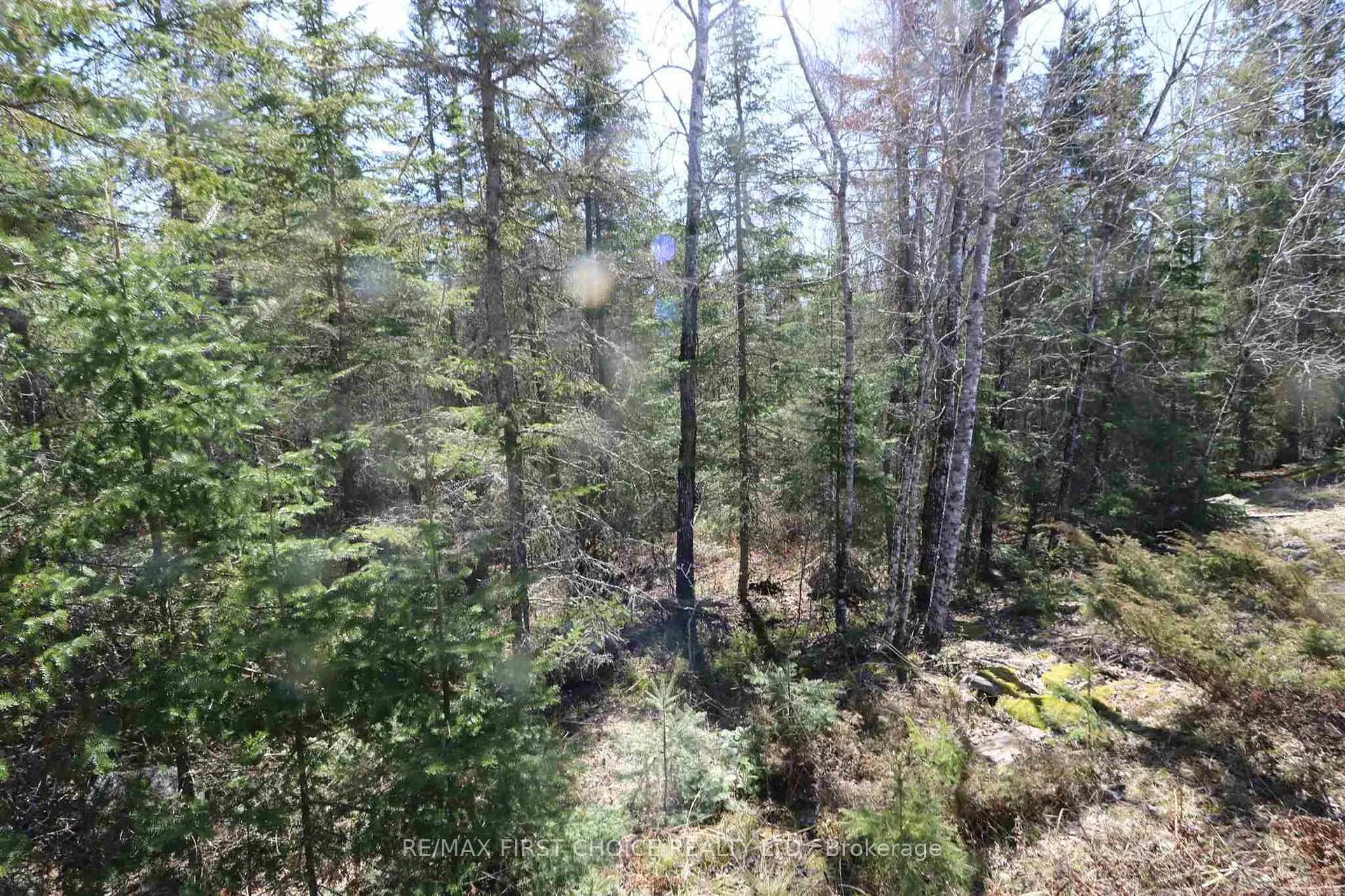 Photo 23 of Lot 152 Plan M222, Kenora Remote Area, Minaki-Winnepeg River — HOMEH