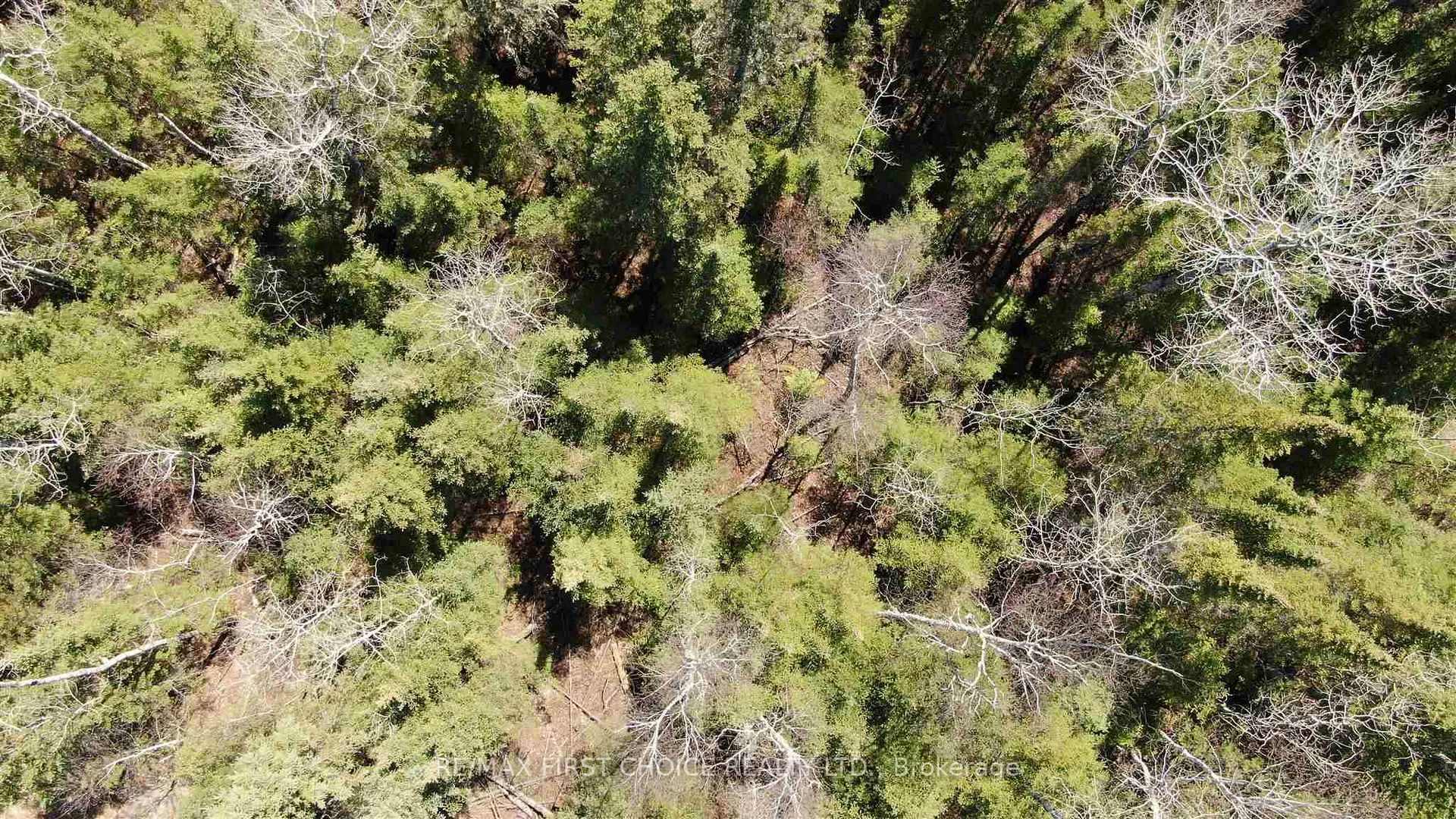Photo 29 of Lot 152 Plan M222, Kenora Remote Area, Minaki-Winnepeg River — HOMEH
