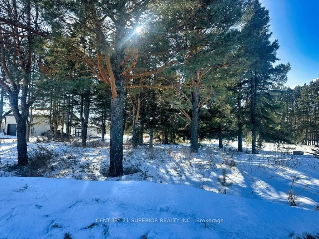 Photo 5 of 2085 15th Side Road, Thunder Bay, Mountain Road — HOMEH