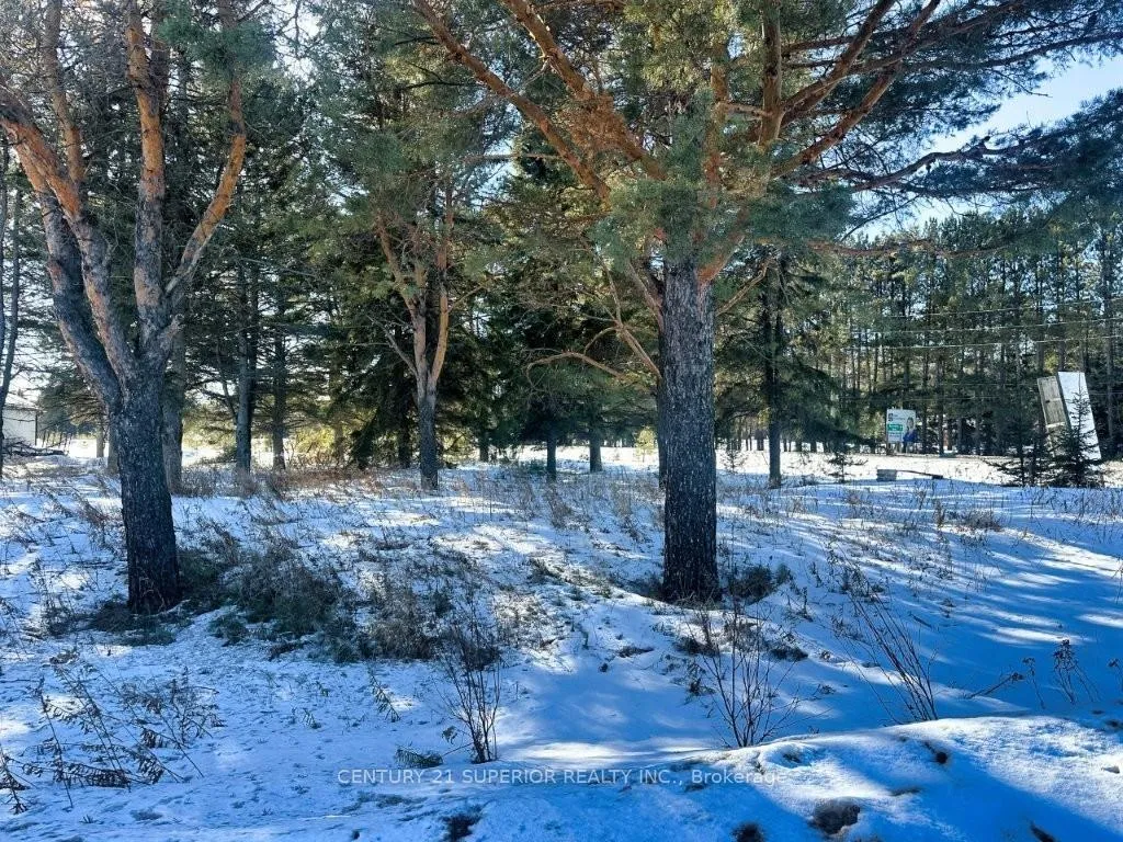 Photo 6 of 2085 15th Side Road, Thunder Bay, Mountain Road — HOMEH