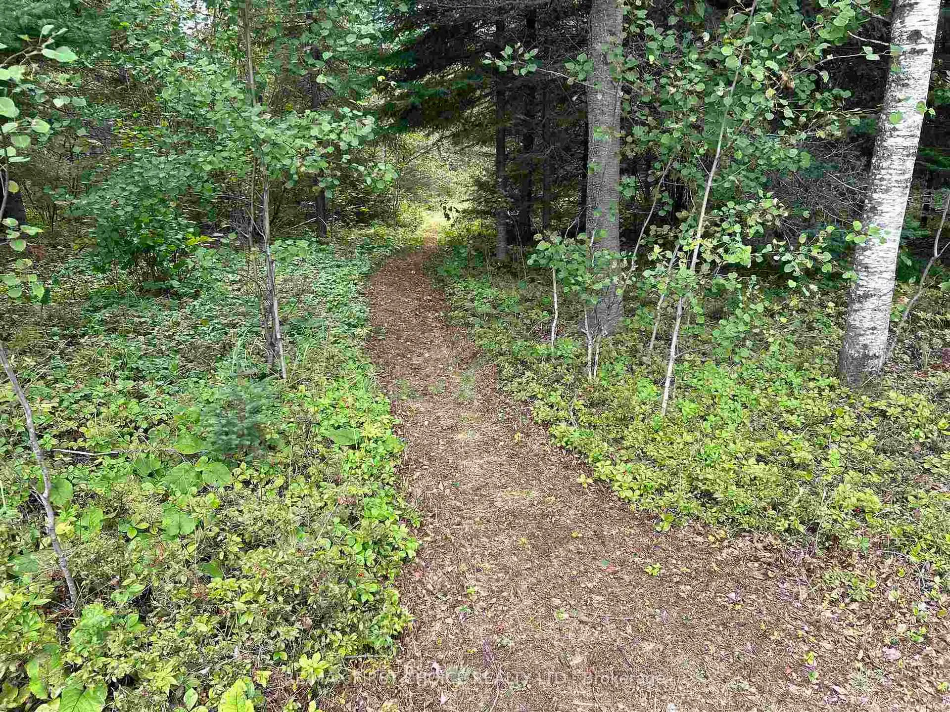 Photo 19 of 1 Bear Camp, Machin — HOMEH