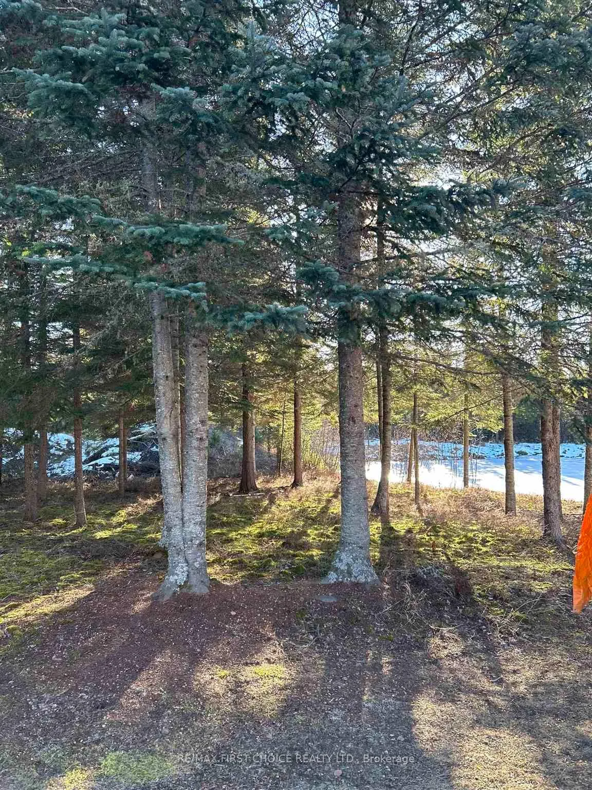 Photo 21 of 1 Bear Camp, Machin — HOMEH