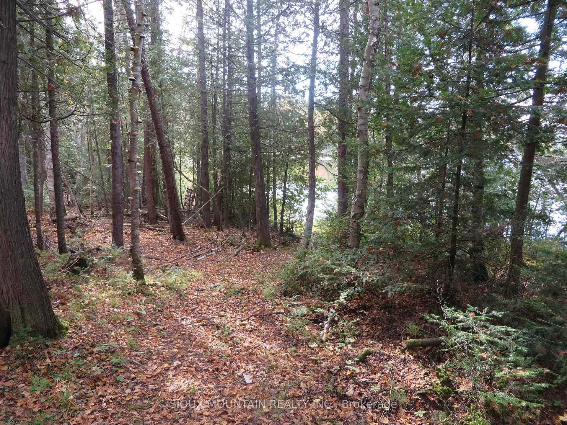 Photo 22 of BLK 10 Deception Lake, Kenora Remote Area — HOMEH
