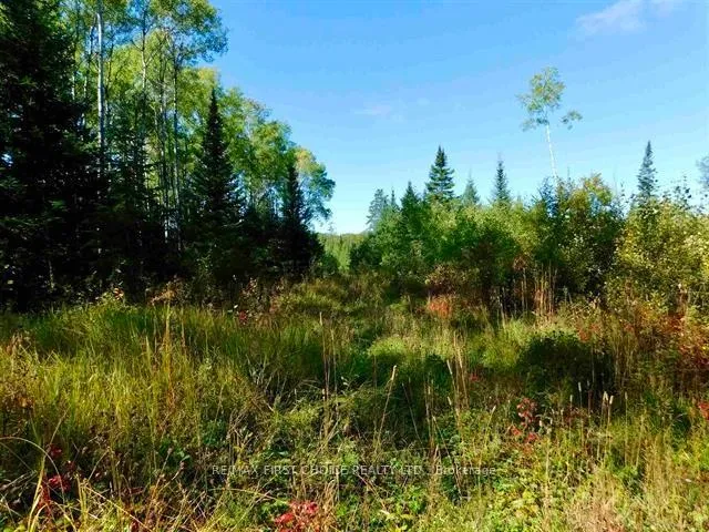 Photo 17 of Chavall Road, Dryden, Barclay — HOMEH