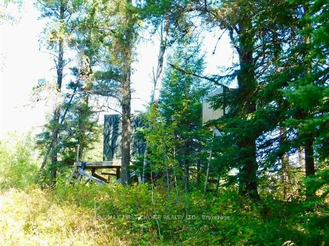 Photo 22 of Chavall Road, Dryden, Barclay — HOMEH
