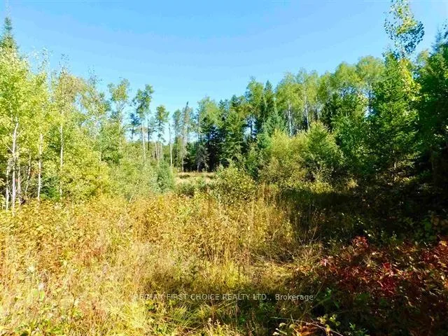 Photo 24 of Chavall Road, Dryden, Barclay — HOMEH